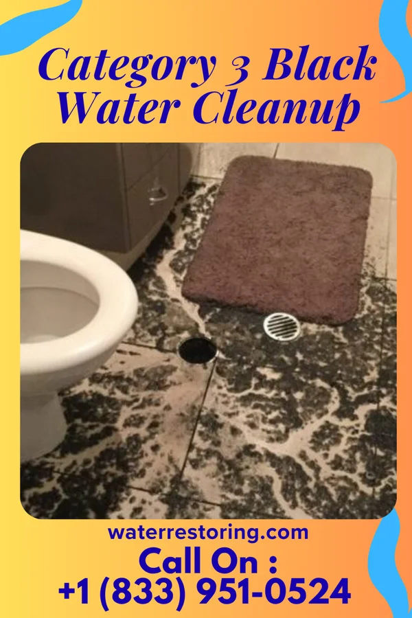 Category 3 Black Water Cleanup in House, NM