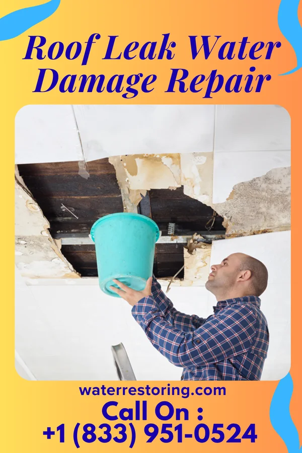 Roof Leak Water Damage Repair in House, NM