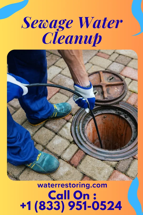 Sewage Water Cleanup in House, NM